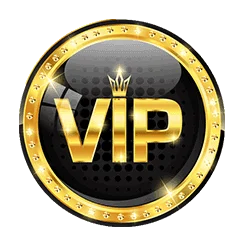 Jaipur VIP Escorts 